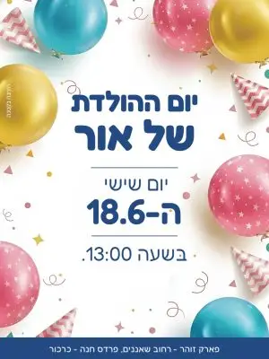 הזמנה ליומולדת – מסגרת בלונים